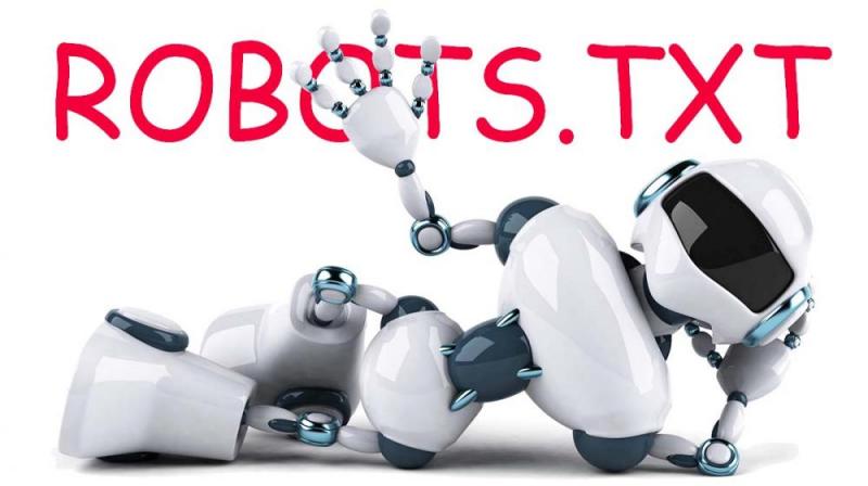 Что такое robots.txt и зачем он нужен в Барнауле